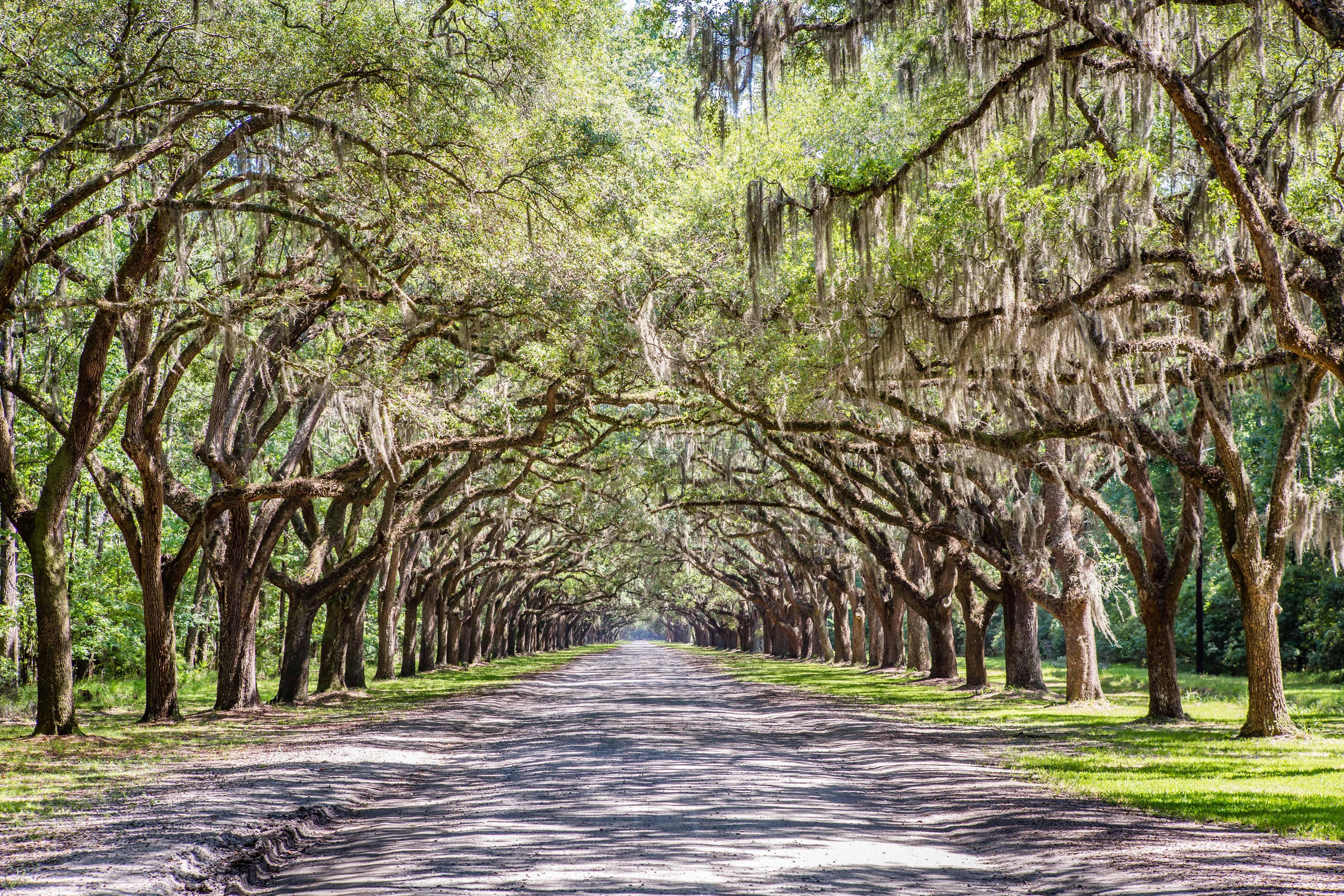 Holiday Inn Savannah Historic District By Ihg Exterior photo